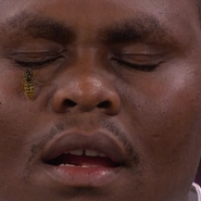 Grab_20251218_170827_912 copy.jpg