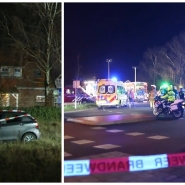 ipiccy_image (3).jpg