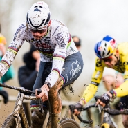 Belgaimage-83375174 copy.jpg