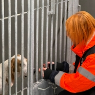 WhatsApp Image 2025-12-23 at 10.01.21.jpeg