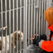 WhatsApp Image 2025-12-23 at 10.01.21.jpeg