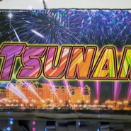 feu artifice copy.jpg