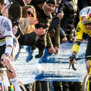 Belgaimage-150832370 copy.jpg