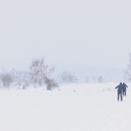 RTL INFO 19h Clean.19_09_24_12.Still007.jpg