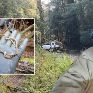 Montage Céline vêtement.jpg