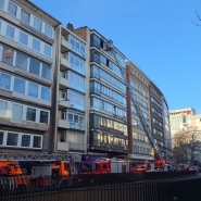 WhatsApp Image 2026-02-04 at 11.07.50.jpeg