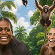 Capture d'écran 2026-02-06 094515.png