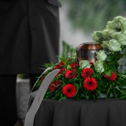 Image d’illustration