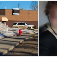 ipiccy_image - 2026-02-11T212000.688.jpg