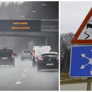 ipiccy_image - 2026-02-12T123239.237.jpg