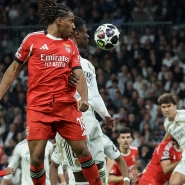 belgaimage-165202462_copy