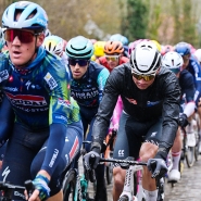 belgaimage-165915192_copy