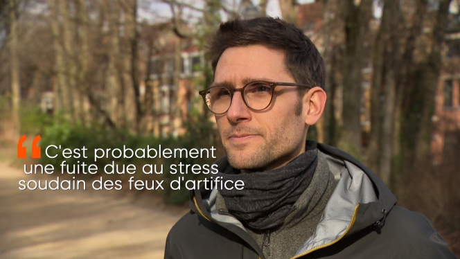 oiseaux-biodiversite