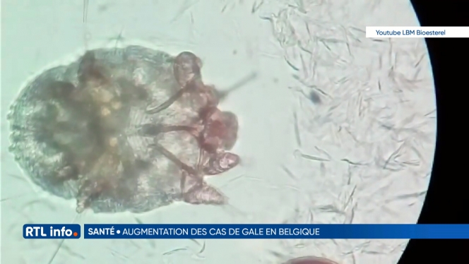 grab_20230204_202133_772