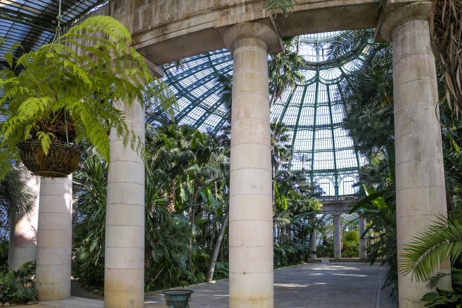 Edition numérique des abonnés