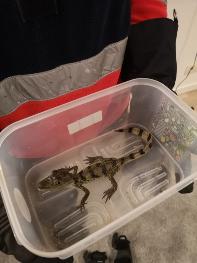 whatsapp_image_2023-05-27_at_09