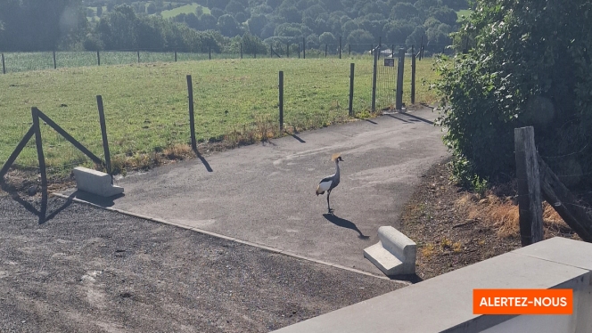 Edition numérique des abonnés