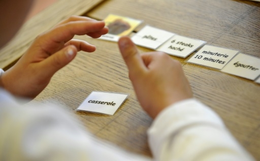 Rentrée: des milliers d'enfants handicapés sans solution, alerte une association