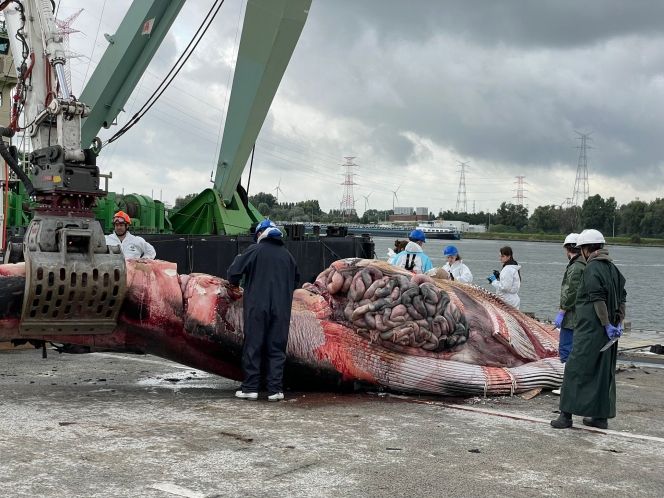 Edition numérique des abonnés