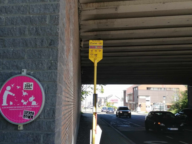 375019585_703157034966276_3426333338596259869_n