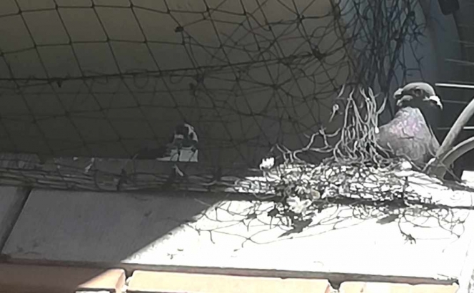 376347598_1197812811608873_4200253150825739765_n