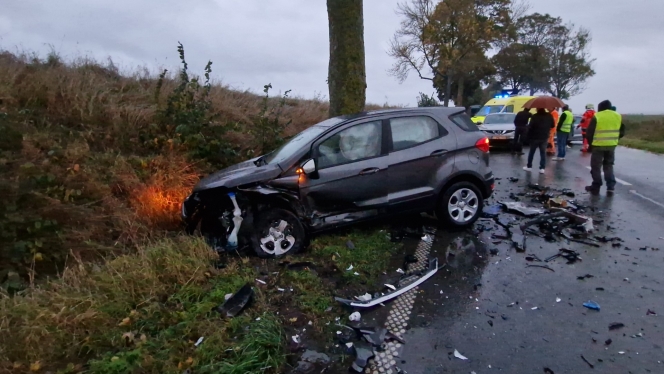 thumbnail_20231025_082542