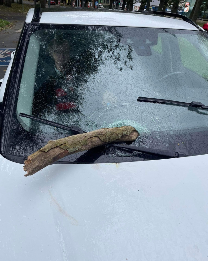 arbre-voiturejennifer