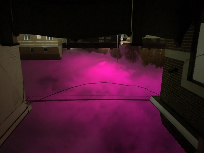 Edition numérique des abonnés