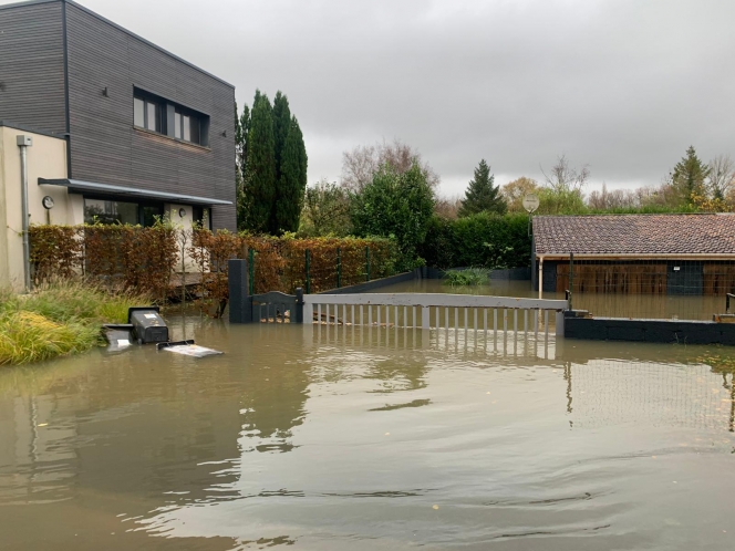 whatsapp_image_2023-11-10_at_09