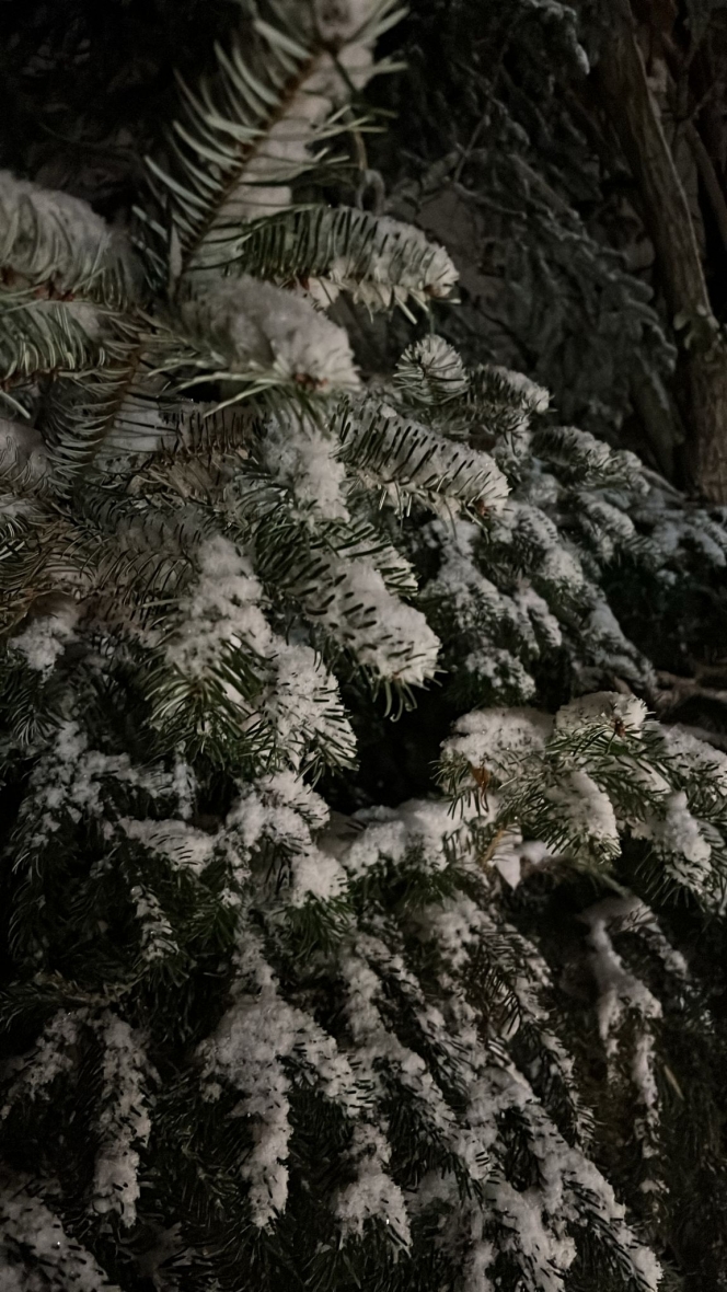 neige_photo_-_ransart_xavier_preyat