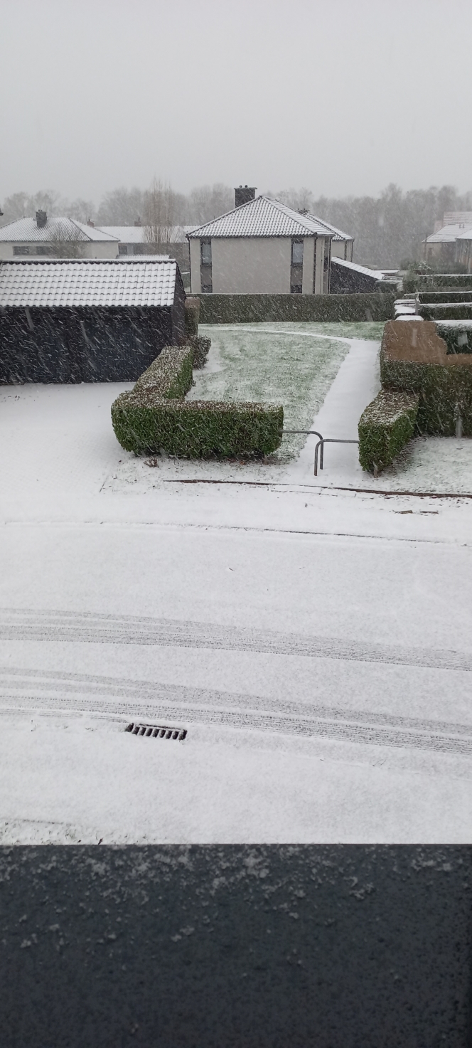 alertez-nous_photo_neige_-_chapelle_lez_herlaimont