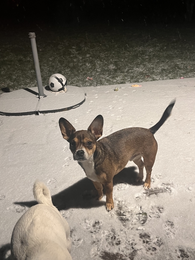 alertez-nous_neige_photo_-_harze_vinciane