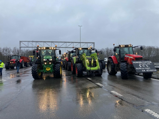 whatsapp_image_2024-01-26_at_12