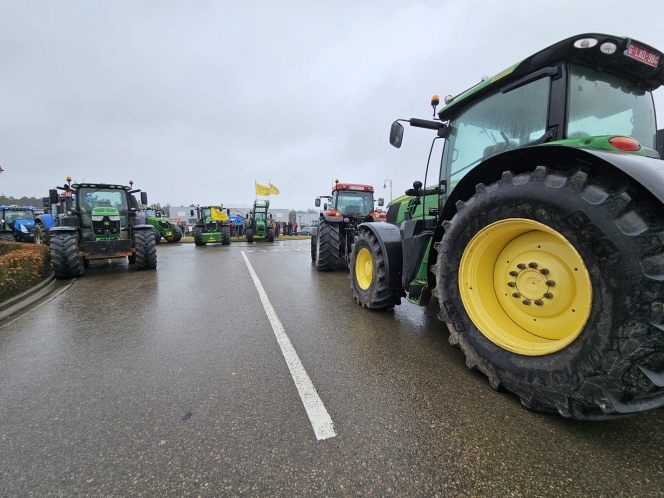 whatsapp_image_2024-02-04_at_10