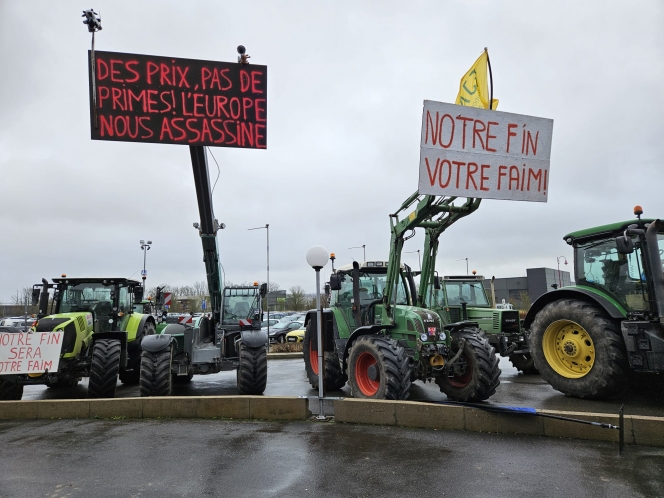 whatsapp_image_2024-02-04_at_11