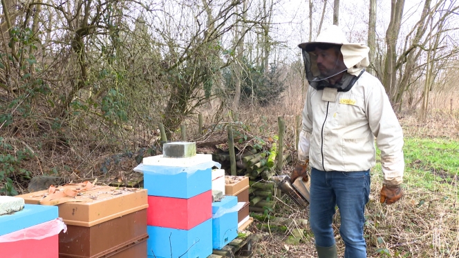 tan_apiculteur_avec_son_masque