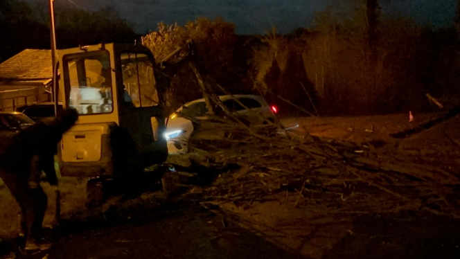 whatsapp_image_2024-02-23_at_06