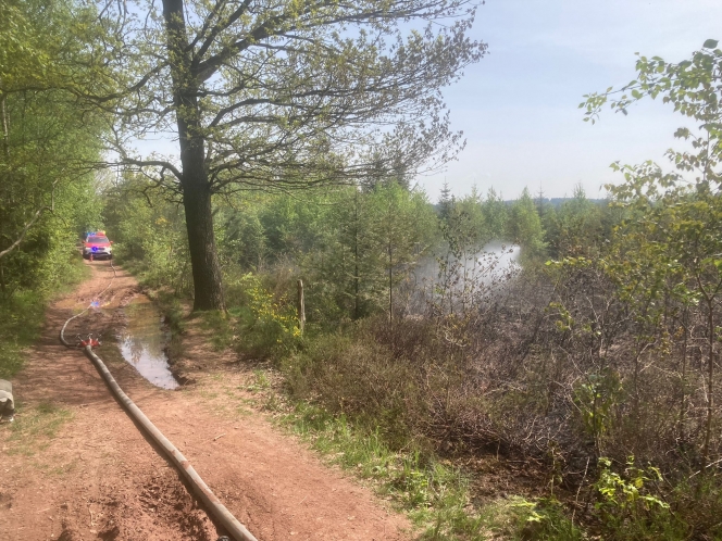 whatsapp_image_2024-05-01_at_15