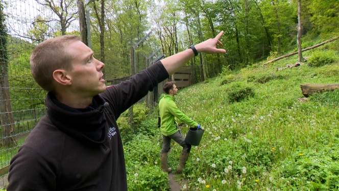 microsoftteams-image_45