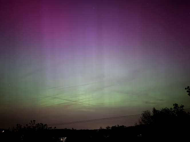 db74e6a0-7312-d10b-7e07-ea4caa8449ad-img_1410