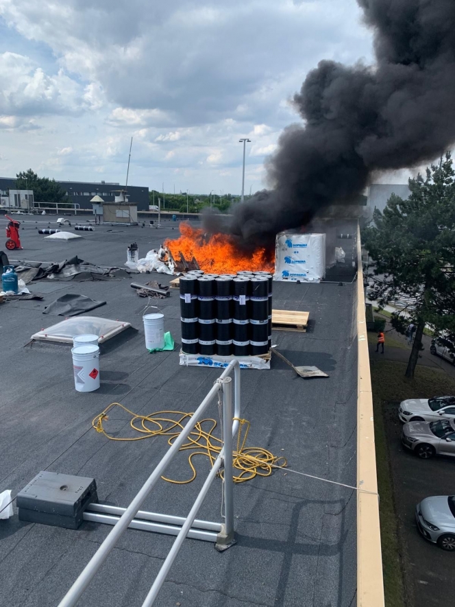 whatsapp_image_2024-06-14_at_11