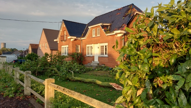 whatsapp_image_2024-07-09_at_21