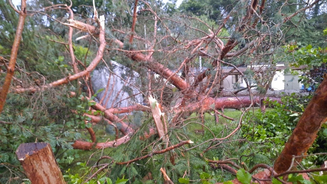 e4250f06-c38b-b088-f9bb-587163fb6a55-img-20240709-wa0029_1