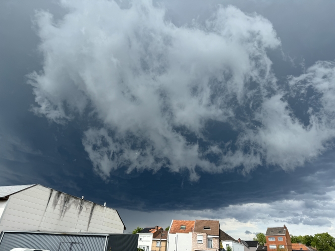 b959b013-242f-ebc8-7e56-b890c1ea5500-img_7326