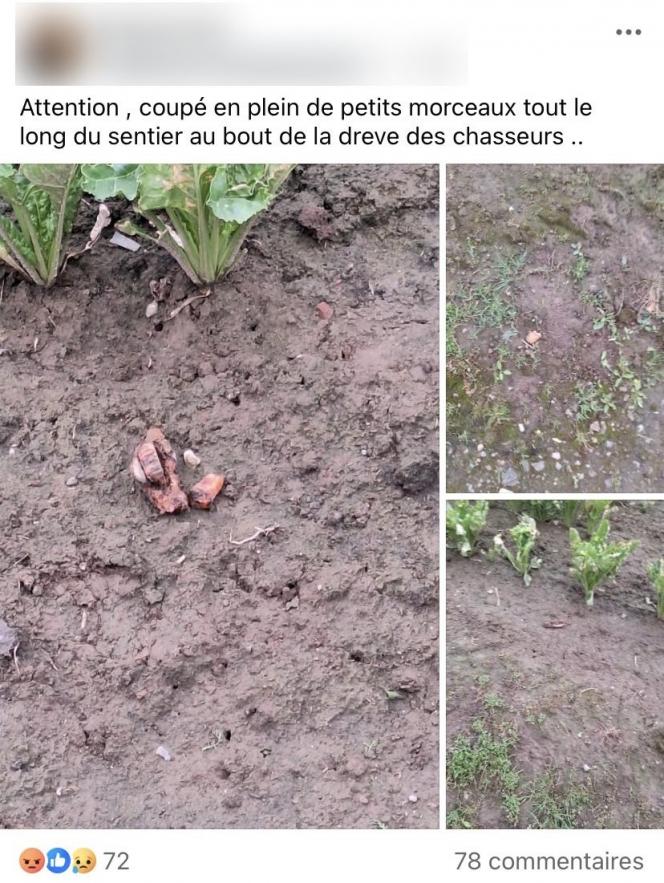 getimage_2_censored_1