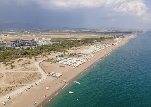 Sur les côtes turques, le baby boom des tortues marines