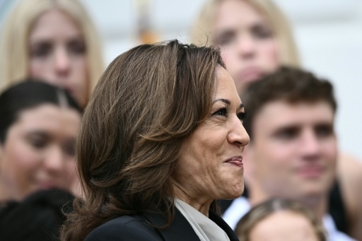 Kamala Harris, opération cocotier: décryptage d'un symbole de ralliement viral