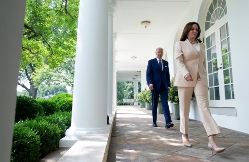 Kamala Harris, opération cocotier: décryptage d'un symbole de ralliement viral