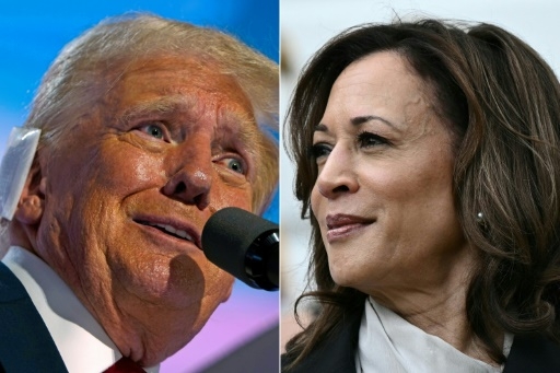 Kamala Harris, opération cocotier: décryptage d'un symbole de ralliement viral