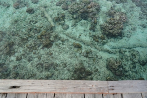 Indonésie: mer amère pour les pêcheurs nomades Bajau